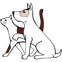 cat-dog-icon